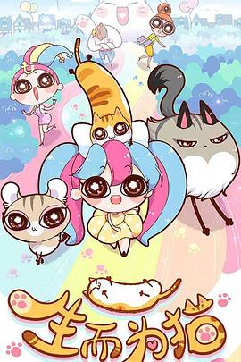 seo优化推广价格多少